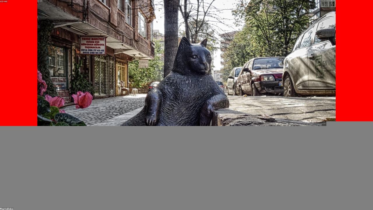 开云官网 APP 赛程界面示意